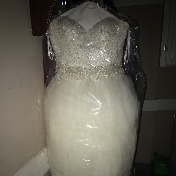 Demetrios Wedding Gown - Picture 5 of 5
